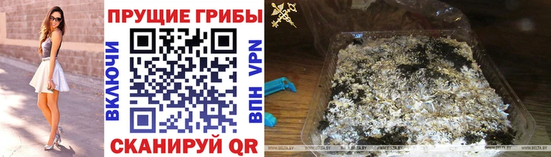 даркнет сайт  Красково  Псилоцибиновые грибы мухоморы 